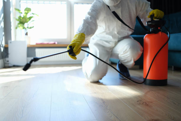 Reliable Odor Removal contractor in Spring Hill, TN by Trauma Clean Pros